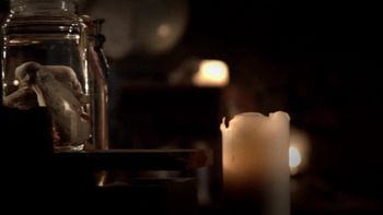 Aporkalypse Screen Shot