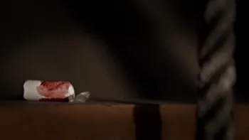 The Savage Truth Screen Shot