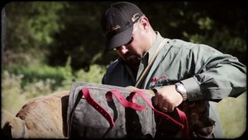 Let There Be Pork Screen Shot