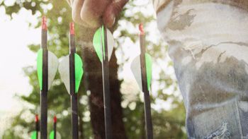 Recurve Reunion Screen Shot