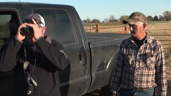 Pigman Live Hits a Snag Screen Shot