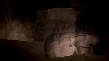 Days of the Dead II Screen Shot