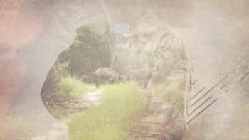 Rakin' in the Bacon Screen Shot