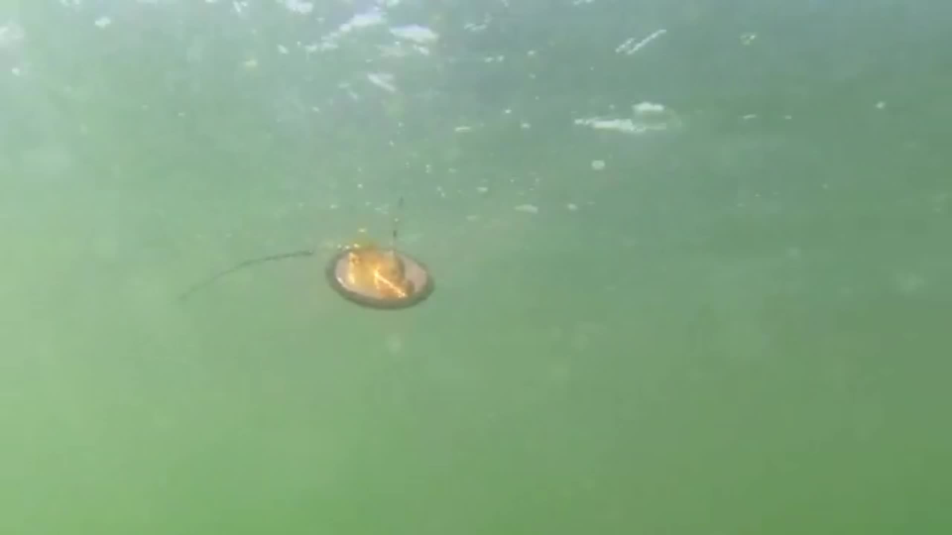 Offshore Fishing Tips & How-Tos