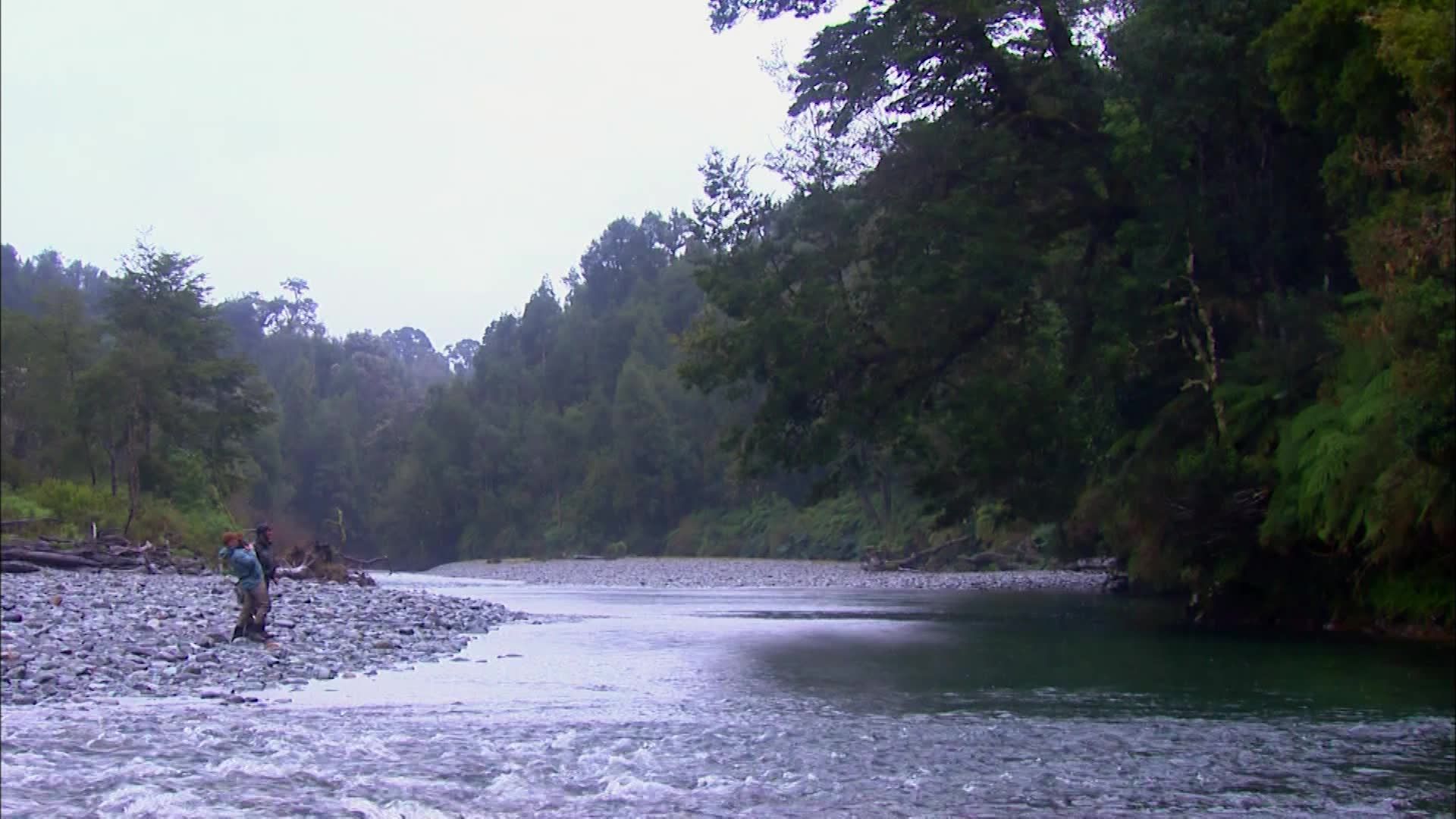 Fly Fishing the World