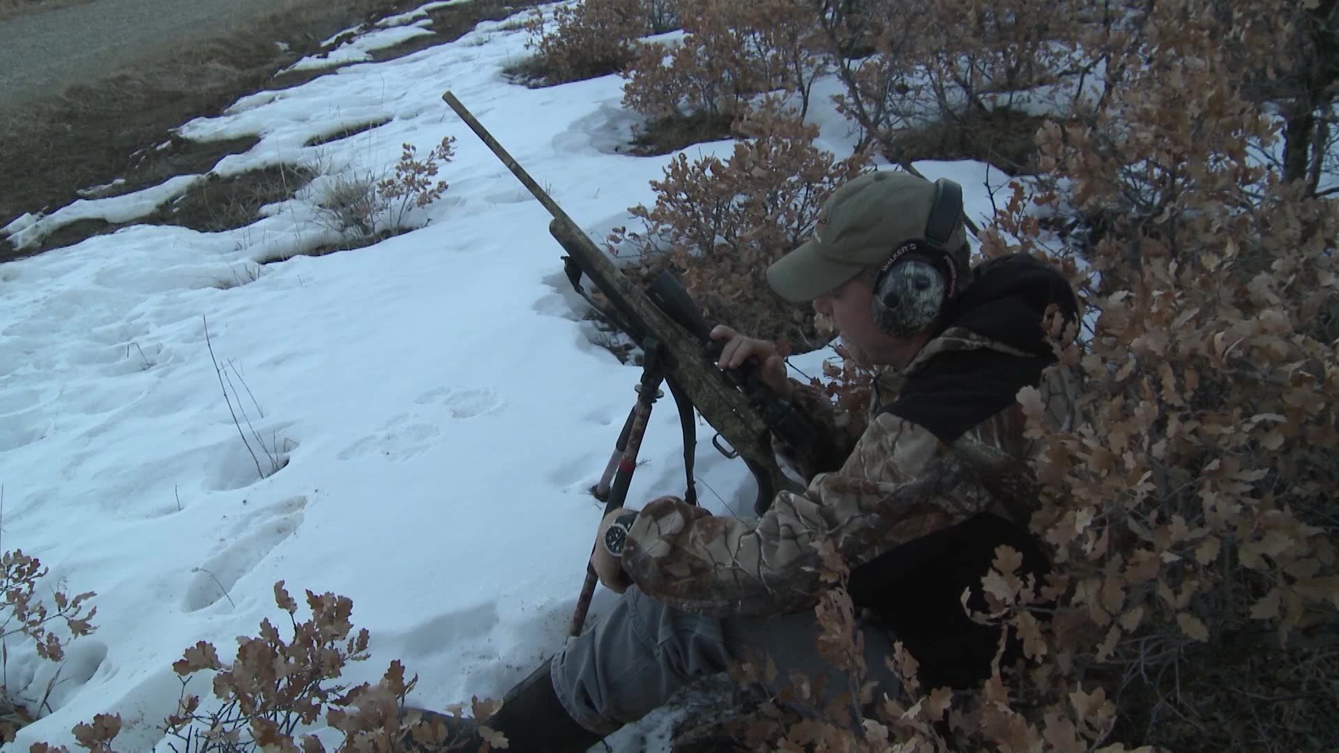 Coyote Hunting Tv Shows 60 Photos - Moonagedaydream.film