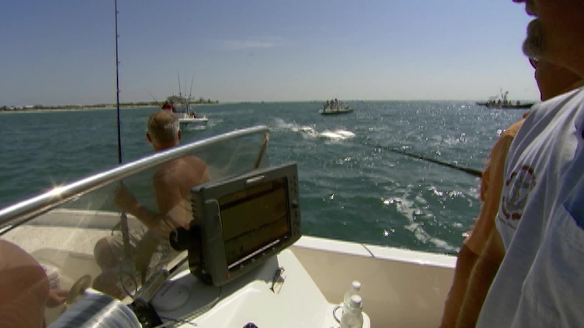 Tarpon of Boca