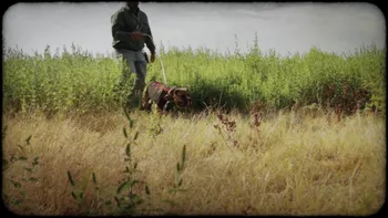 Marranos Muertos 2013 Screen Shot