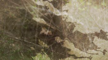 Gobblers Gettin' Got Screen Shot