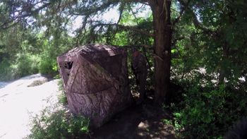 Dap's Directorial Debut Screen Shot