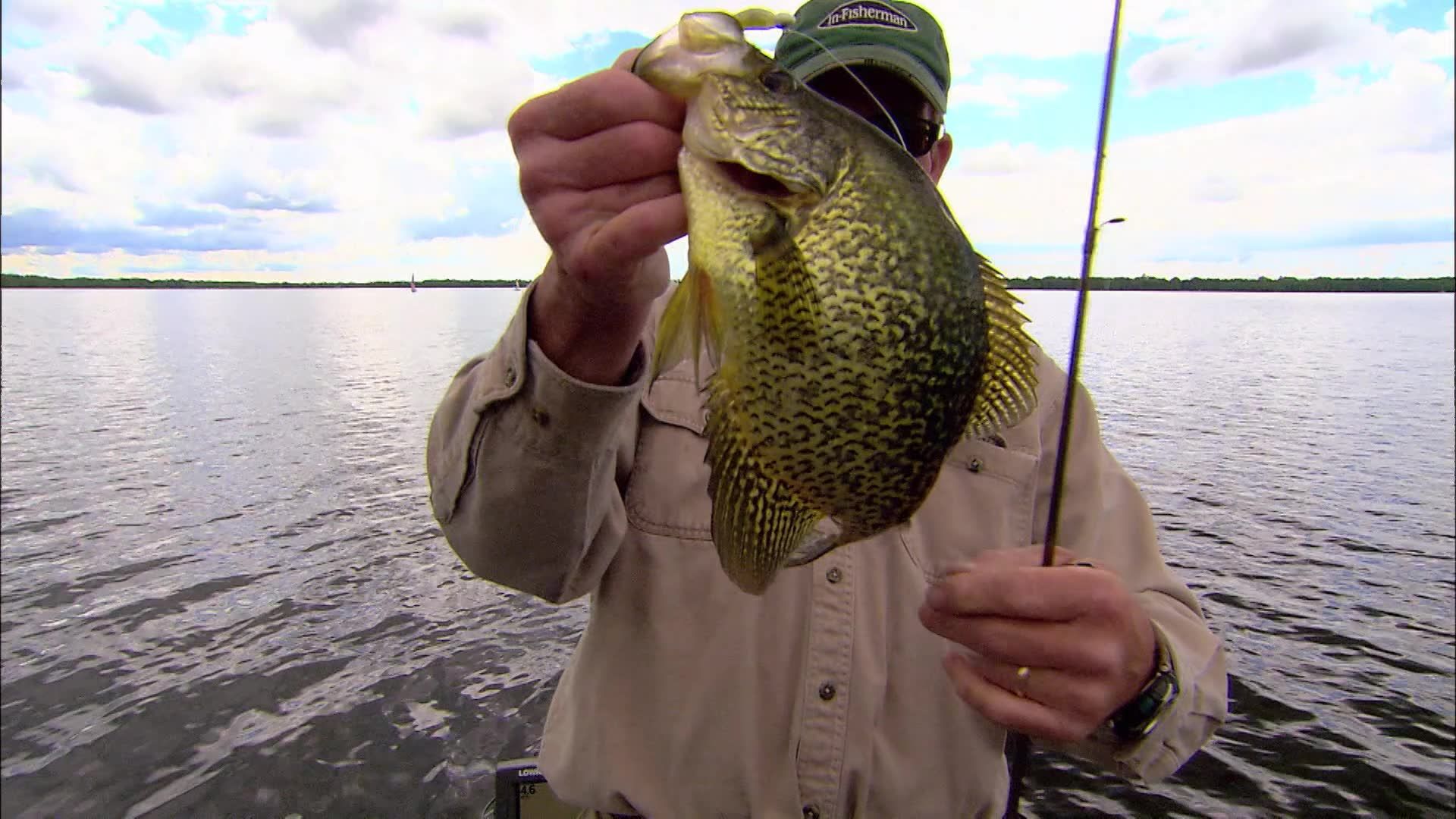 Panfish Fishing Tips & How-Tos