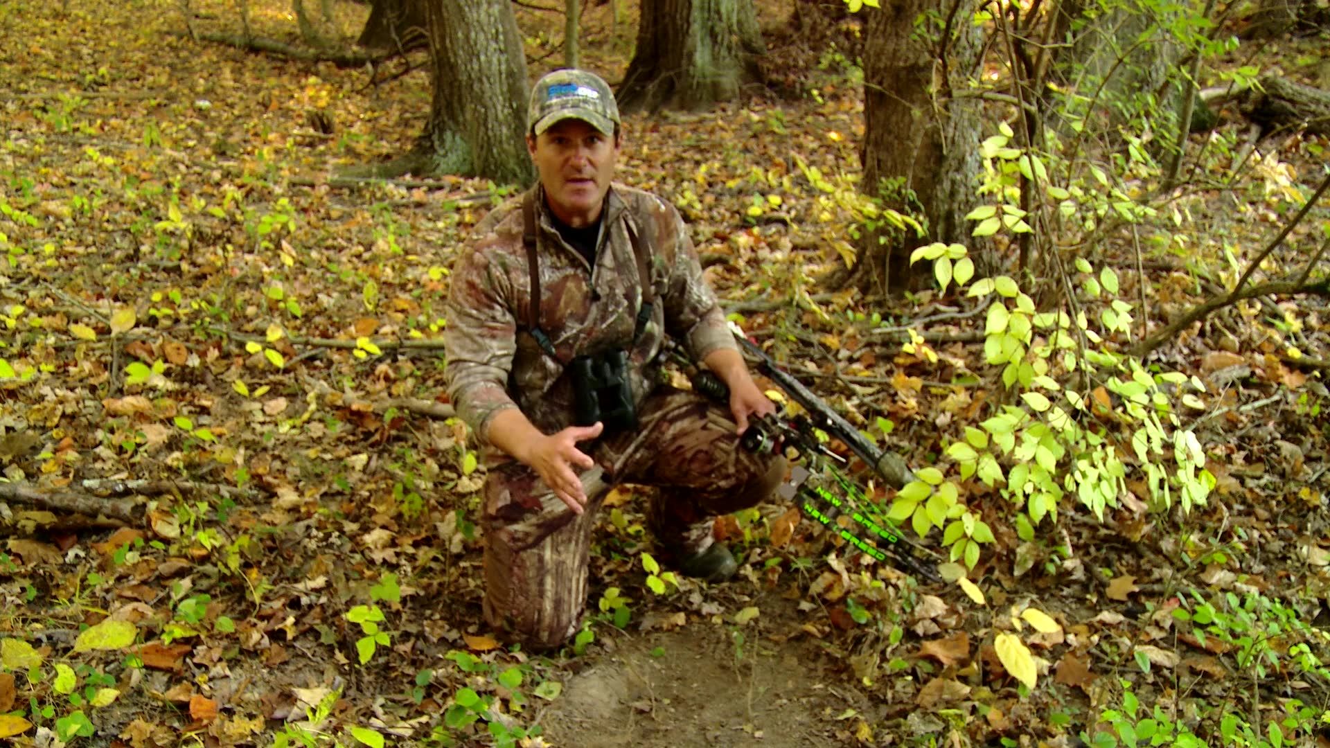Whitetail Hunting Tips & How-Tos