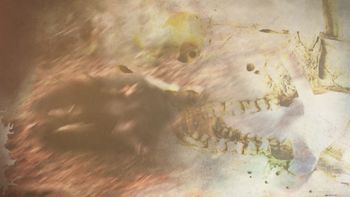 The Elksorcist Screen Shot