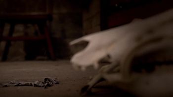 Swamp Shank - 2014 Screen Shot