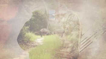 The Ghost of Pigman Past Screen Shot