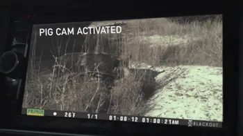 Blackbuck at Broken O Screen Shot