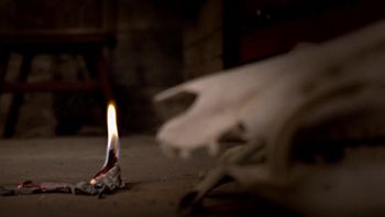 Days of the Dead I Screen Shot