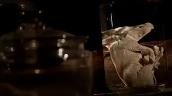 A Hard Days Night Screen Shot