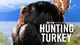 Hunting Turkey