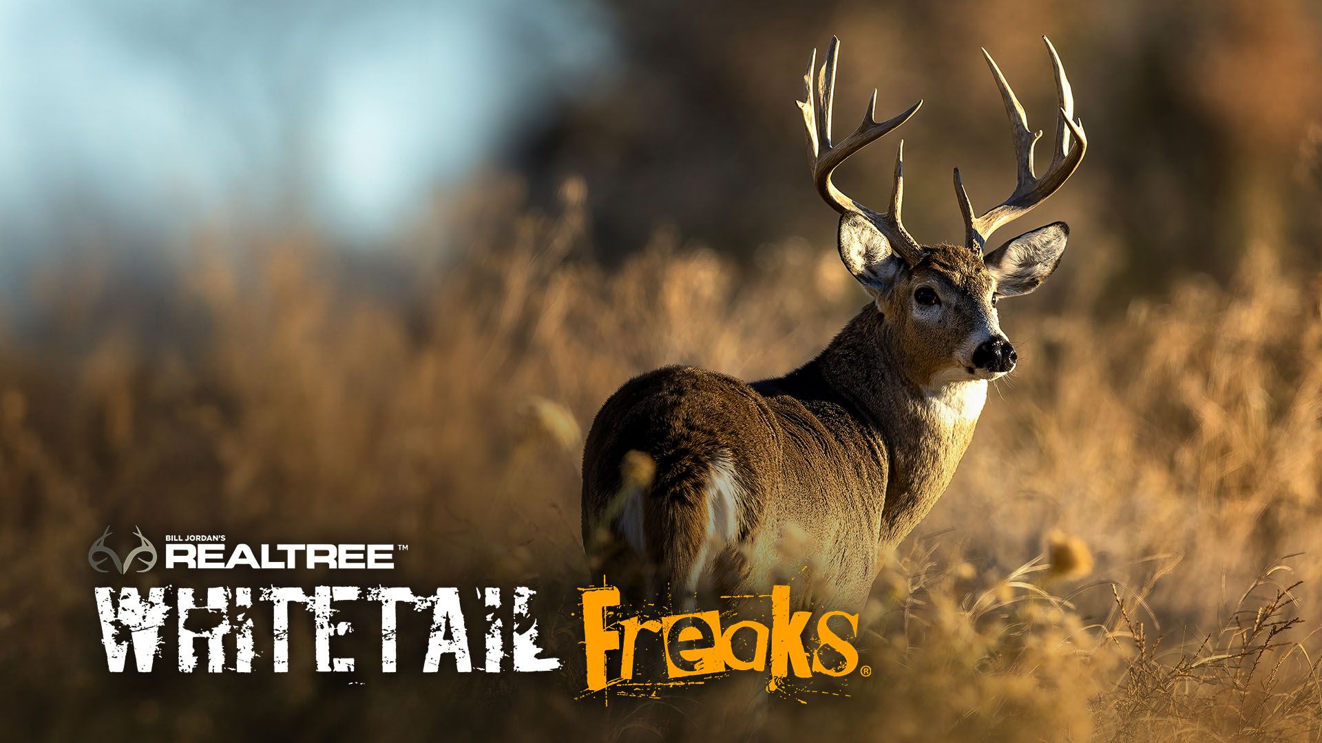WhitetailFreaks_16x9_1920x1080