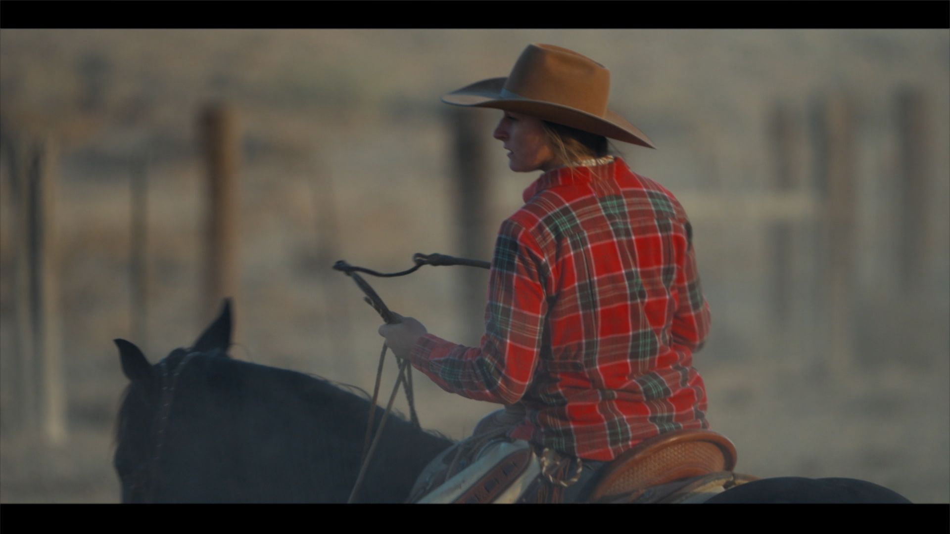 Punchy Ranch Rigs C-Punch Ranch