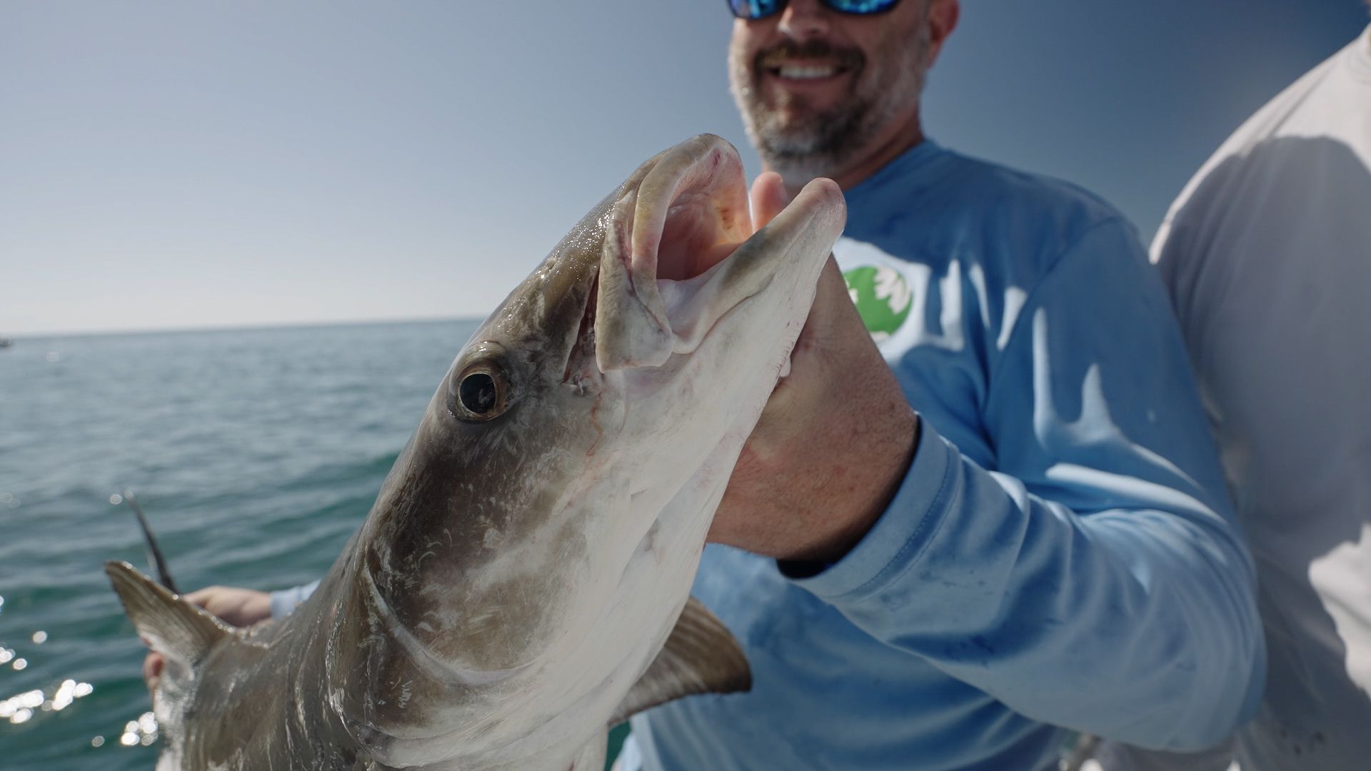 The Fish Guyz TV